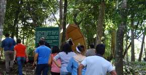 Foto: (Imagem sem texto alternativo disponivel ID [1546412])