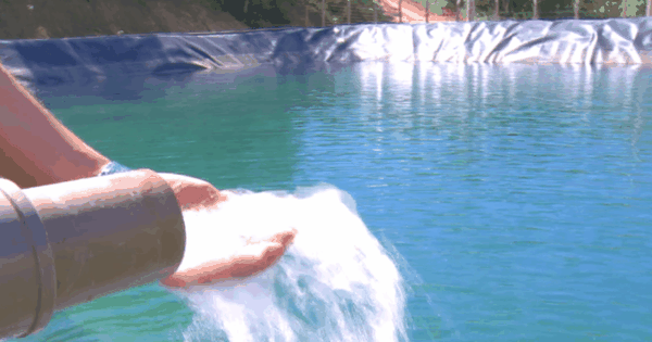 São 80 mil litros de água pura e destilada gerados por dia. (Crédito: reprodução TV Globo)