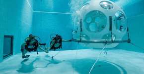 Foto: (Imagem sem texto alternativo disponivel ID [1476392])