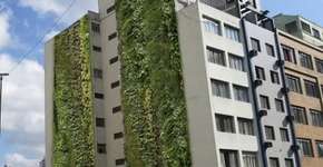 Foto: (Imagem sem texto alternativo disponivel ID [1846199])