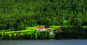 Foto: (Imagem sem texto alternativo disponivel ID [1836251])