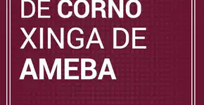 Da próxima vez que for xingar alguém, #xingacerto!