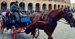 Veículos puxados por cavalos serão substituídos em Roma