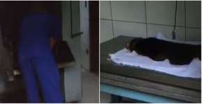 Foto: (Imagem sem texto alternativo disponivel ID [1555843])