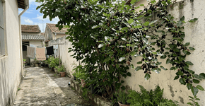 Foto: (Imagem sem texto alternativo disponivel ID [2756136])