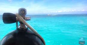 Foto: (Imagem sem texto alternativo disponivel ID [889114])