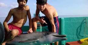 Foto: (Imagem sem texto alternativo disponivel ID [1164247])