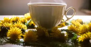 Chá anti-inflamatório que protege o fígado e turbina o metabolismo