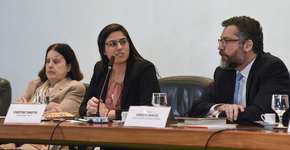 Ministro diz que vê banalização do termo ‘tentativa de estupro’