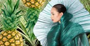 Foto: (Imagem sem texto alternativo disponivel ID [1842513])