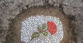 Artista usa flores para tapar e denunciar buracos de Chicago
