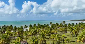 4 passeios para não perder em São Miguel dos Milagres (AL)