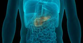 Câncer de pâncreas: 75% dos casos apresentam este sinal precoce