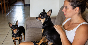 Foto: (Imagem sem texto alternativo disponivel ID [2733037])