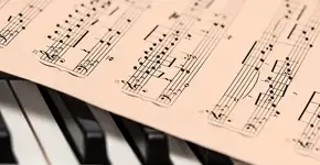 Foto: (foto StevePB/ Pixabay)