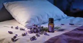 Foto: (Imagem sem texto alternativo disponivel ID [2692780])