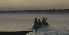 Dia da Amazônia: assista online ao documentário ‘Waapa’