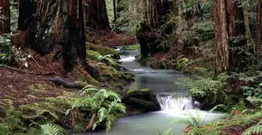 Foto: (Imagem sem texto alternativo disponivel ID [1836304])