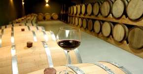 Foto: (Imagem sem texto alternativo disponivel ID [1868998])