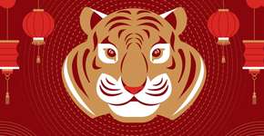 Foto: (Imagem sem texto alternativo disponivel ID [2710129])