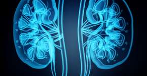 Foto: (adventtr/istock)