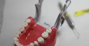 Centro de Atendimento em Dentística e Endodontia (CADE-Trauma)