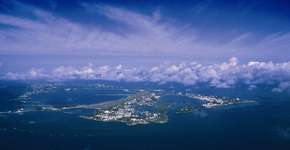 Foto: (Imagem sem texto alternativo disponivel ID [829411])