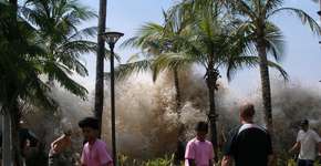 Foto: (Imagem sem texto alternativo disponivel ID [780593])