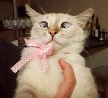 Reprodução / Instagram