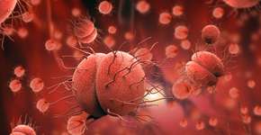 Foto: (Giovanni_Cancemi/DepositPhotos)