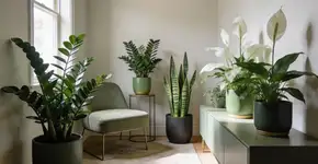 Foto: (Imagem sem texto alternativo disponivel ID [2713236])