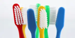 Foto: (Imagem sem texto alternativo disponivel ID [1833467])