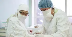 Foto: (Imagem sem texto alternativo disponivel ID [1837572])