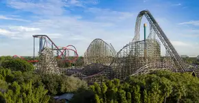 Foto: (Divulgação)