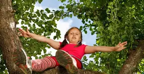 Férias brincando na cidade: é proibido subir em árvores nos parques, mas nas praças a brincadeira está liberada!