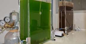 Foto: (Imagem sem texto alternativo disponivel ID [1837478])