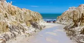 Foto: (Istock/Isabel Fragoso Marin)