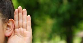 Foto: (PaulCalbar/istock)