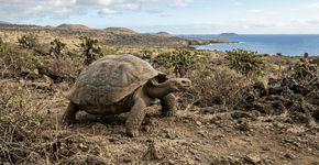 Foto: (Imagem sem texto alternativo disponivel ID [2758682])