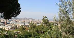 Foto: (Imagem sem texto alternativo disponivel ID [1863576])