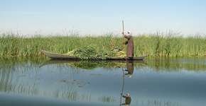 Foto: (Imagem sem texto alternativo disponivel ID [480211])