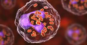 Foto: (Dr_Microbe/istock)