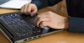 Foto: (Anna Sulencka/Pixabay)