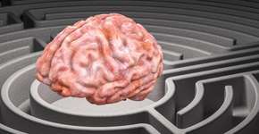 Foto: (AlexLMX/istock)