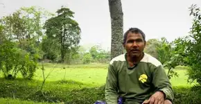 Indiano planta uma árvore por dia há mais de 30 anos