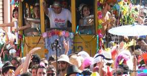 Foto: (Imagem sem texto alternativo disponivel ID [578500])