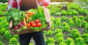 É primavera! Conheça os alimentos da estação e seus benefícios