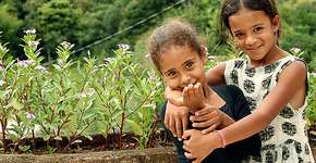 Bate papo online com Adriana Friedmann discute o tema ‘A voz da Criança’