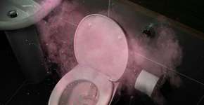 Foto: (divulgação/Harpic)