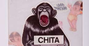 Museu da USP promove mostra “Papel de Bala”